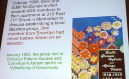Some early Society history Some early Society history