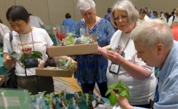 Maureen Mark, Bonnie Harris, Nancy Moerer, and Patty Daniel making selections at plant sales Maureen Mark, Bonnie Harris, Nancy Moerer, and Patty Daniel making selections at plant sales
