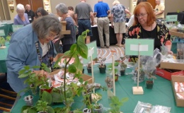 Dee Stewart and Dale Martens search for special plants Dee Stewart and Dale Martens search for special plants
