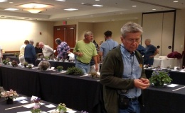 Judges looking over the entries after judging Judges looking over the entries after judging