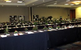 The Flower Show Room – an impressive sight