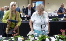 Loris Purtzer, Nancy Kast and others take another look at the show