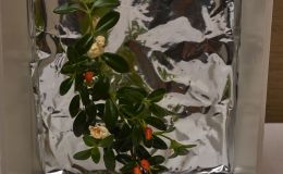 0 - (Paul Kroll)