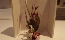 2018 ConventionArrangements of Dried and/or Growing Gesneriad MaterialClass 62BEST IN SECTION L – ARRANGEMENT OF DRIED AND/OR GROWING GESNERIAD MATERIAL