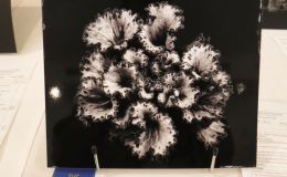 2018 ConventionPhotographyClass 72 Monochrome print