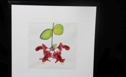2018 ConventionArts and Crafts Representing GesneriadsClass 73 – Painting or drawing