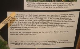 2018 ConventionEducational ExhibitsClass 79 – Exhibit of plant material with educational informationBEST IN THE COMMERCIAL/EDUCATIONAL DIVISIONBEST IN SECTION R – EDUCATIONAL EXHIBIT