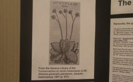 2018 ConventionEducational ExhibitsClass 79 – Exhibit of plant material with educational informationBEST IN THE COMMERCIAL/EDUCATIONAL DIVISIONBEST IN SECTION R – EDUCATIONAL EXHIBIT