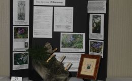 2018 ConventionEducational ExhibitsClass 79 – Exhibit of plant material with educational informationBEST IN THE COMMERCIAL/EDUCATIONAL DIVISIONBEST IN SECTION R – EDUCATIONAL EXHIBIT