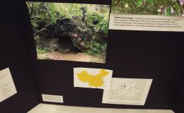 Class 80 – Exhibit of photograph(s) of gesneriads that because of their seasonal nature and/or rarity are not often exhibited RUNNER-UP TO BEST IN THE COMMERCIAL/EDUCATIONAL DIVISION