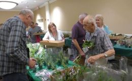 Making selections at the plant sale Making selections at the plant sale
