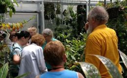 Guided greenhouse tours