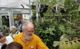 More to see in the greenhouses
