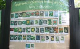 Next stop:  Garden in the Woods