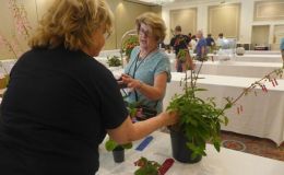Mary Schaeffer and Barb Borleske packing up entries Mary Schaeffer and Barb Borleske packing up entries