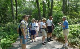 Guided tour through the woodland gardens