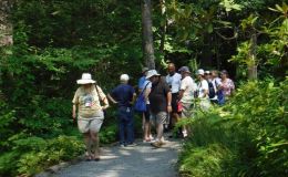 Many woodland garden trails to see