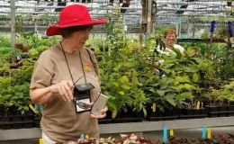 Eileen McGrath and Mollie Schneider enjoying more plants