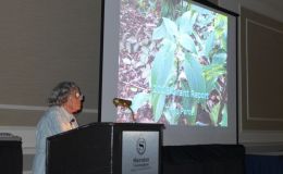 Carolyn Ripps presenting conservation report from Brazil