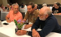Jim Roberts, Tom Bruning, and Paul Lee practice judging