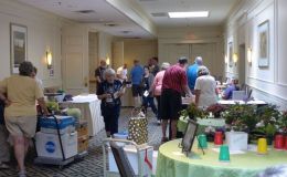 Activities at Flower Show Entries