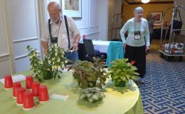 Ron Myhr grooms his entries