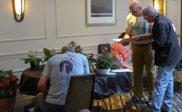 Inspection of entries