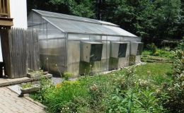 Stewarts' Greenhouse