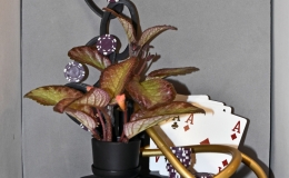 2019 Convention Arrangements of Fresh-Cut Gesneriad Material Class 58