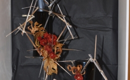 2019 Convention Arrangements of Dried and/or Growing Gesneriad Material Class 62