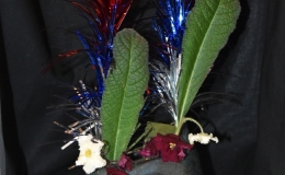 2019 Convention Novice artistic entries suitable for any of the classes in Sections K, L, or M Class 68 BEST IN SECTION N – NOVICE ARTISTIC