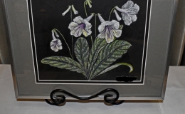 2019 ConventionArts and Crafts Representing GesneriadsClass 73 – Painting or drawing  RUNNER-UP TO BEST IN ARTS BEST IN SECTION P – ARTS AND CRAFTS REPRESENTING GESNERIADS