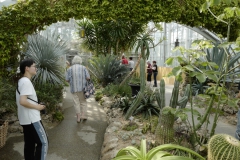 Touring the conservatory
