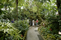 Continuing tour of the conservatory
