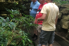 Paulo Castello da Costa, Mel Grice, and Hung Nguyen