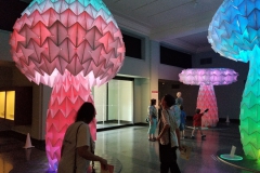 Continuing tour of the art museum