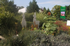 Garden at Krohn Conservatory