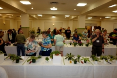 Flower Show opening with attendees buzzing around