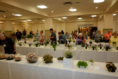 Another view of the Show