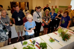 Continuing the show and judging review