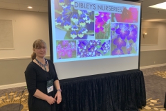 Lynne Dibley lectured on Dibleys and 200 years of Streptocarpus