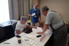 Classification Chair Elizabeth Varley busy checking entry forms