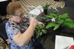 Nancy Carr doing some final grooming
