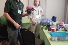 John and Jeannie deSaavedra readying their plants for entries