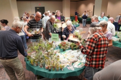 Shopping at plant sales