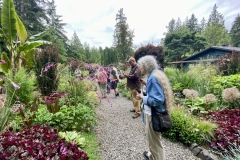 Lots of different garden areas to visit