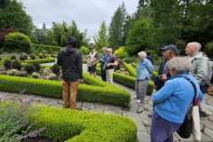 More formal garden area