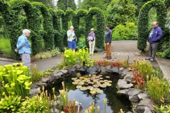 Group at the carnivorous plant pond