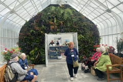 A mini wall planting inside the conservatory