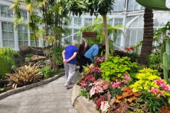 Touring the inside gardens